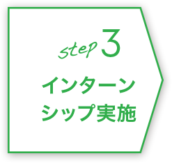 step3 インターンシップ実施