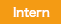 intern
